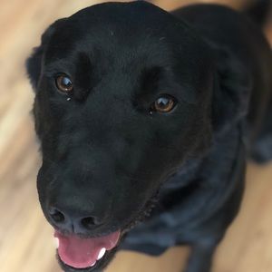 Meet your Posher, Billiejo